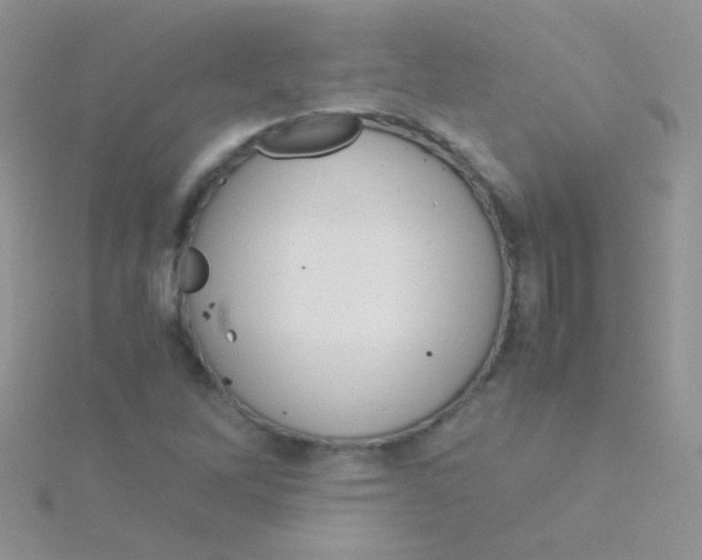 X0000115301262200911231302