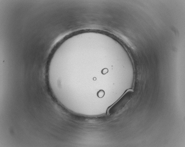 X0000115301264200911231302