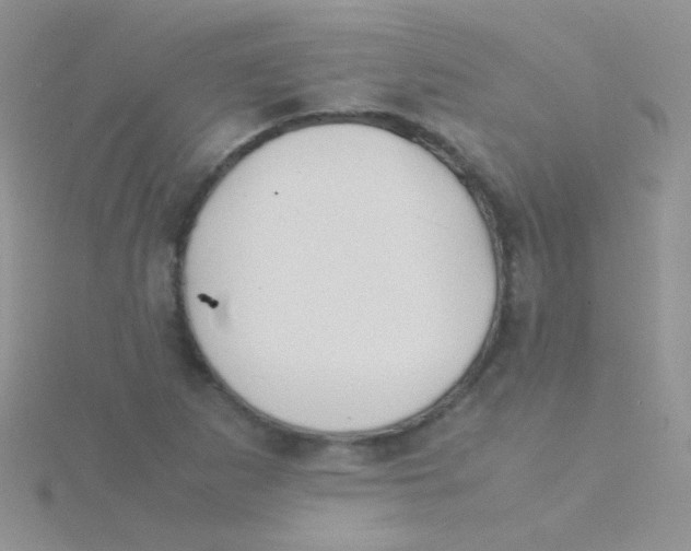 X0000115301265200911231302