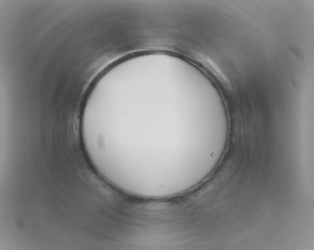 X0000115301268200911231302