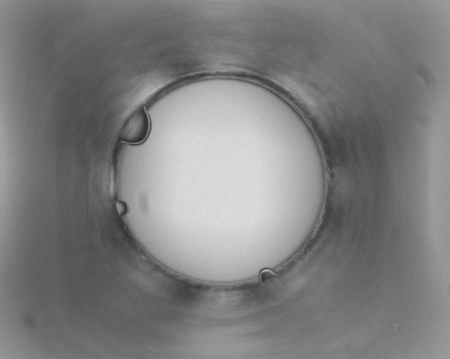 X0000115301269200911231302