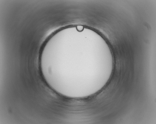 X0000115301270200911231302