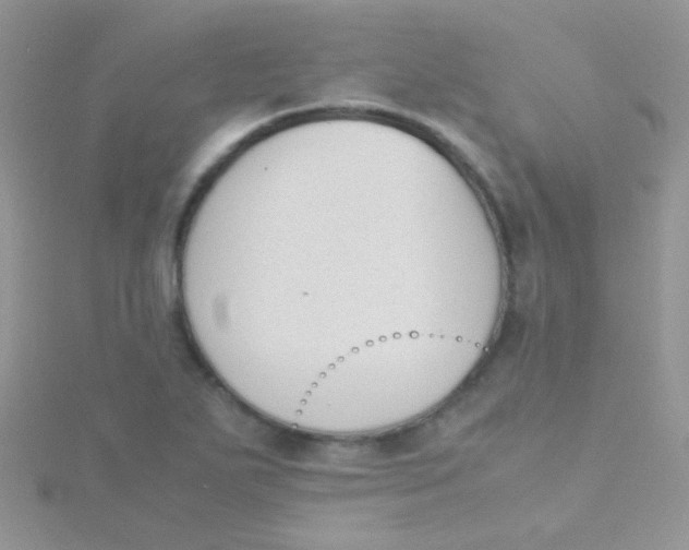 X0000115301271200911231302