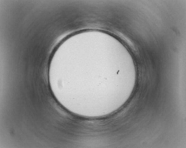 X0000115301272200911231302