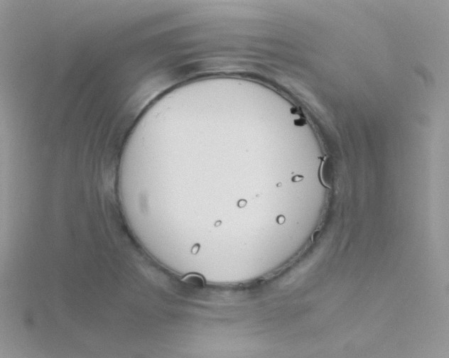 X0000115301273200911231302