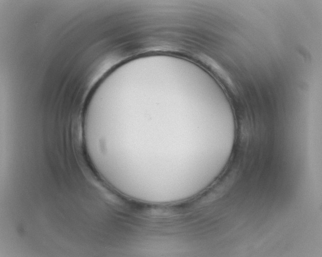 X0000115301274200911231302