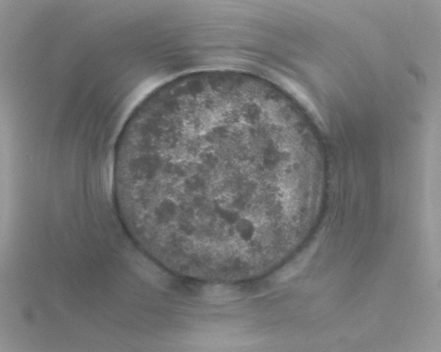 X0000115301275200911231302