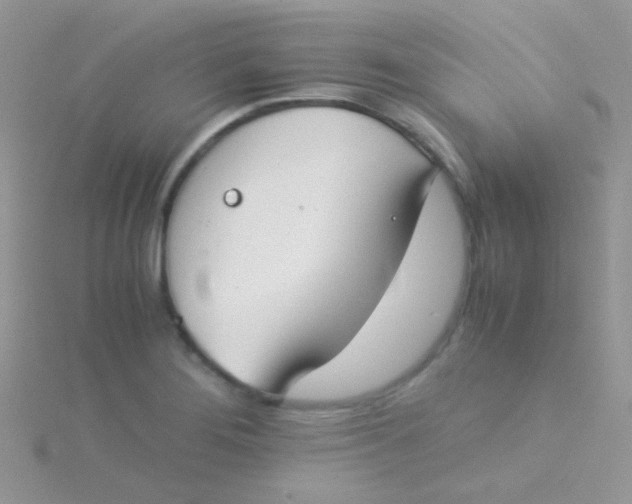 X0000115301276200911231302