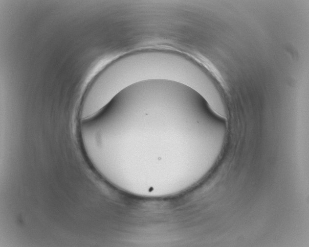 X0000115301277200911231302