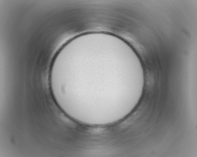 X0000115301278200911231302