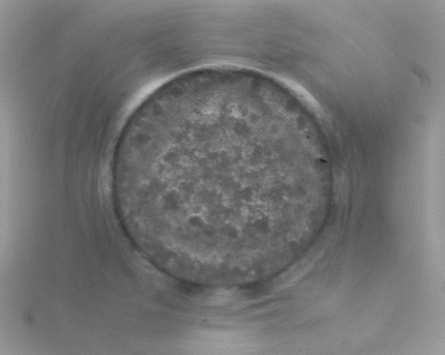 X0000115301279200911231302