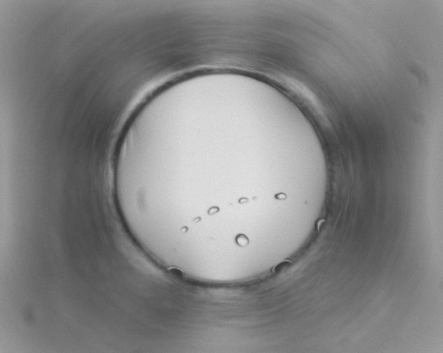 X0000115301280200911231302