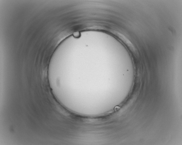 X0000115301281200911231302