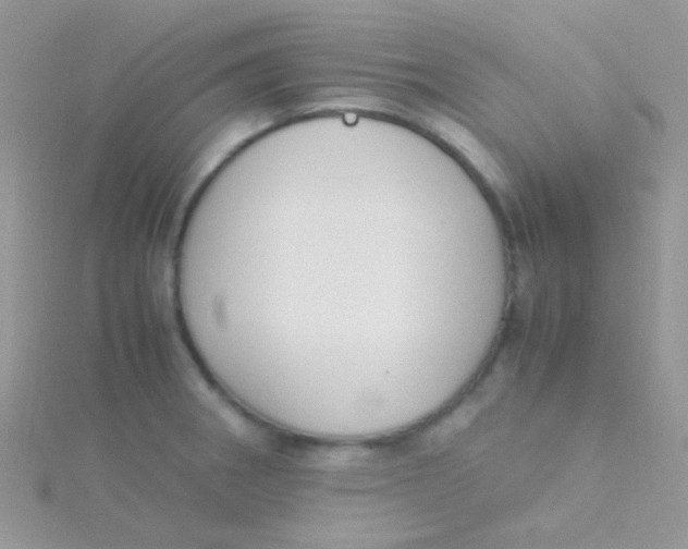 X0000115301282200911231302