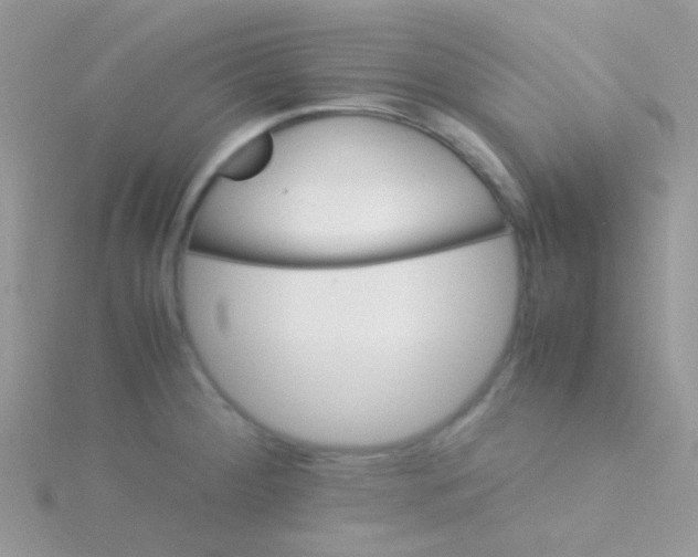 X0000115301284200911231302