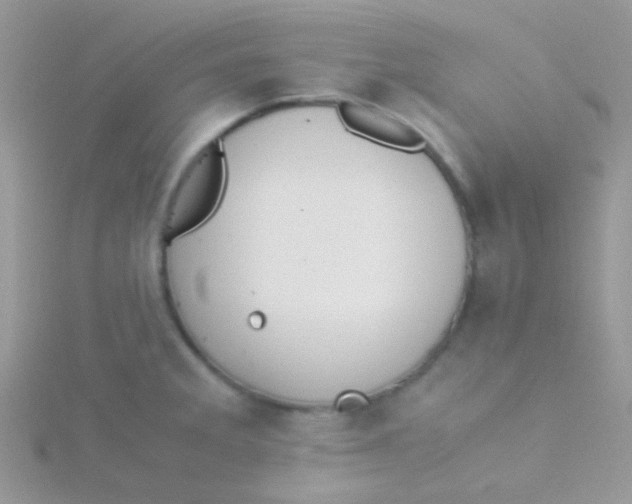 X0000115301285200911231302