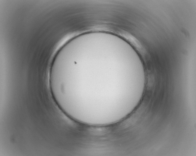 X0000115301286200911231302