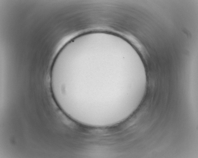 X0000115301287200911231302