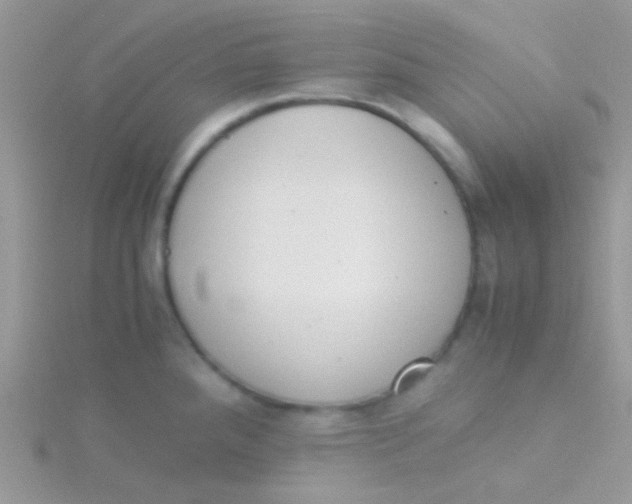 X0000115301288200911231302