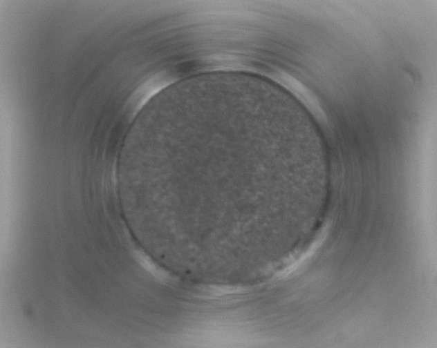 X0000115301289200911231302