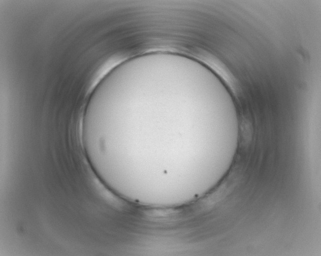 X0000115301290200911231302