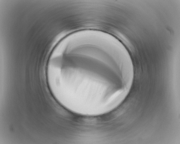 X0000115301291200911231302