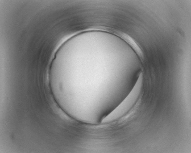 X0000115301292200911231302