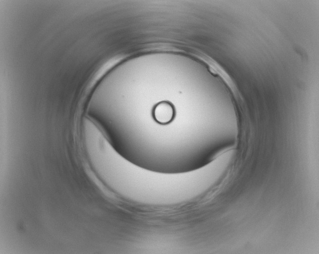 X0000115301293200911231302