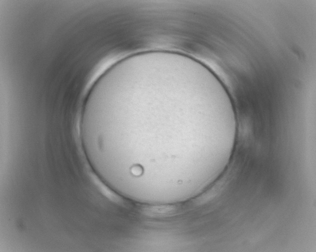 X0000115301294200911231302