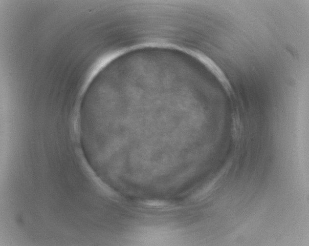 X0000115301295200911231301