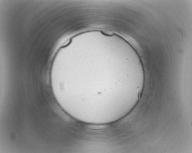 X0000115301296200911231301