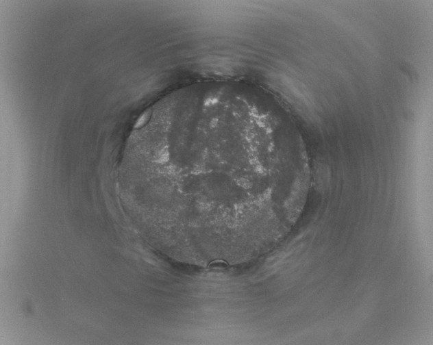 X0000115301297200911231301