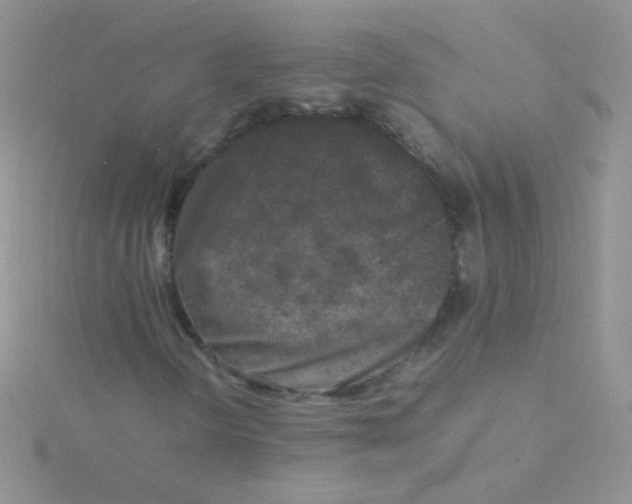 X0000115301298200911231301