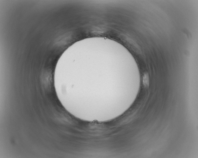 X0000115301299200911231301