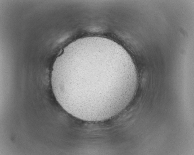 X0000115301301200911231301