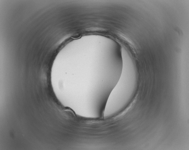 X0000115301305200911231301