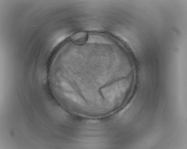 X0000115301306200911231301