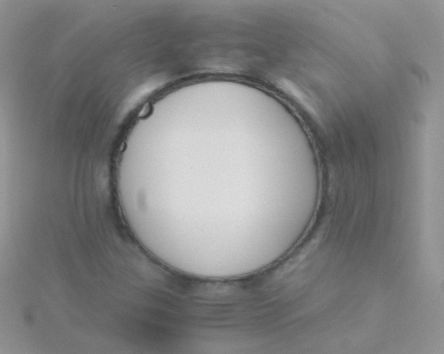 X0000115301307200911231301