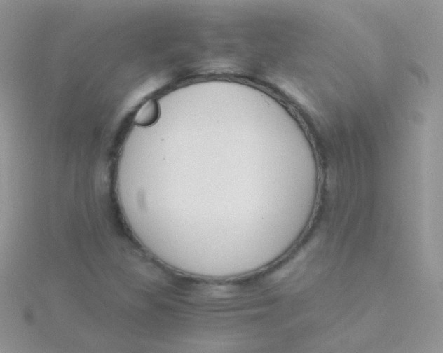 X0000115301309200911231301