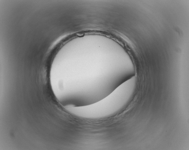 X0000115301310200911231301