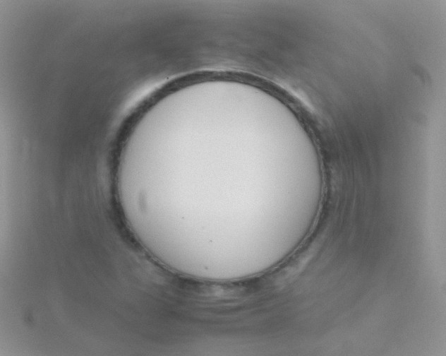 X0000115301311200911231301