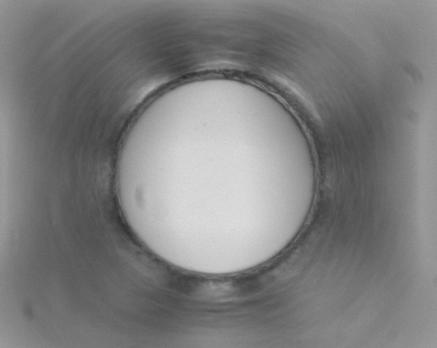 X0000115301313200911231301