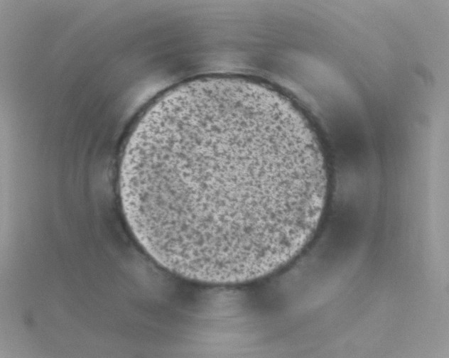 X0000115301314200911231301