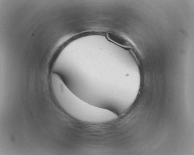 X0000115301315200911231301