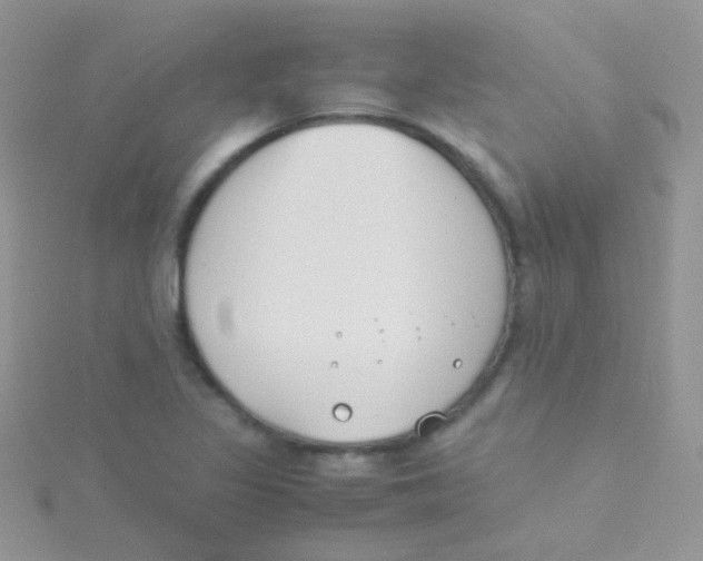 X0000115301317200911231301