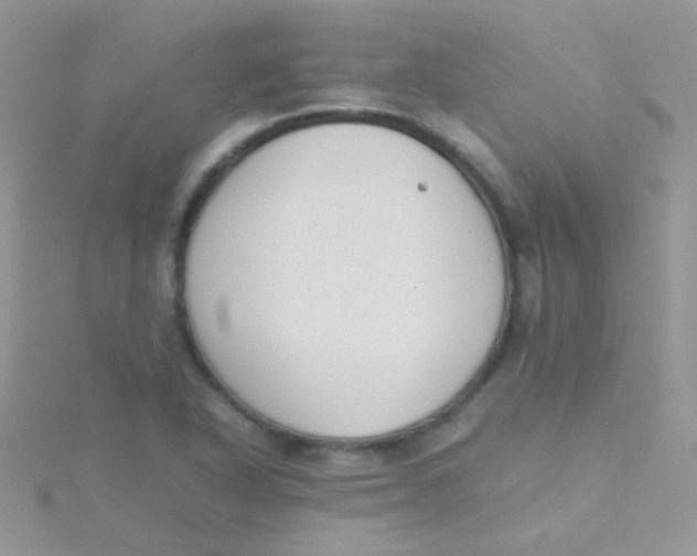 X0000115301318200911231301