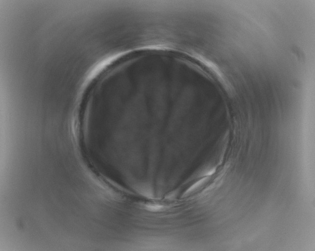 X0000115301319200911231301