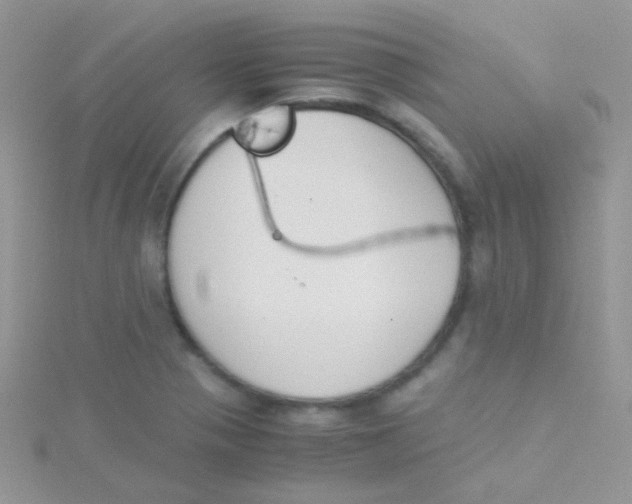 X0000115301321200911231301