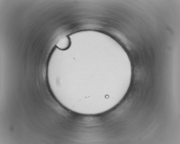 X0000115301322200911231301