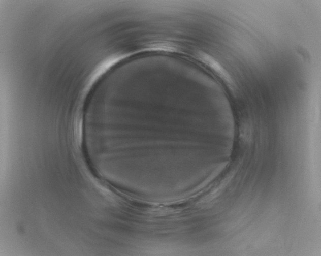 X0000115301323200911231301